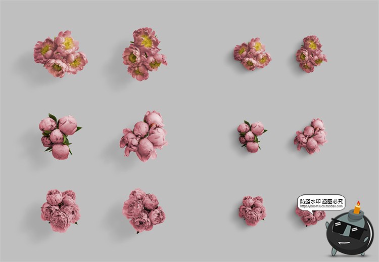 图片[6]-鲜花专题牡丹花卉芍药花艺花店植物花瓣PNG免抠源文件PSD模板素材-设计猿