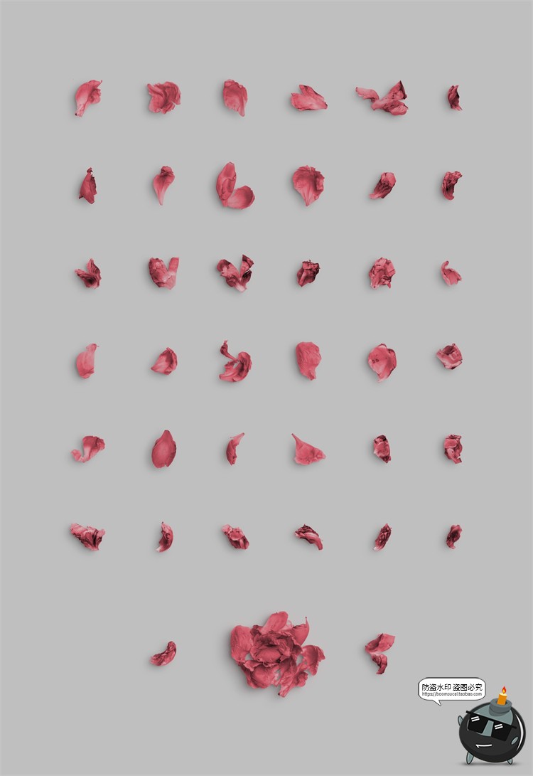 图片[7]-鲜花专题牡丹花卉芍药花艺花店植物花瓣PNG免抠源文件PSD模板素材-设计猿