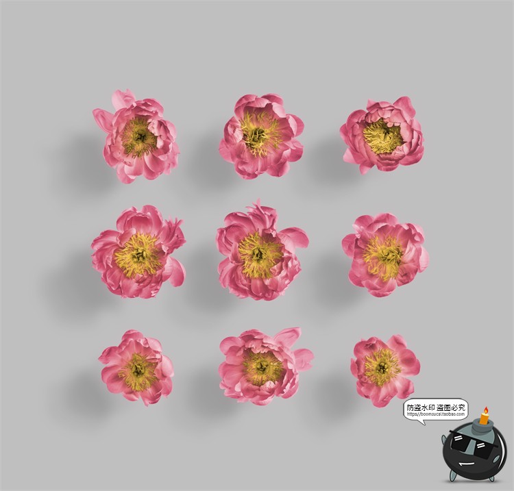 图片[9]-鲜花专题牡丹花卉芍药花艺花店植物花瓣PNG免抠源文件PSD模板素材-设计猿