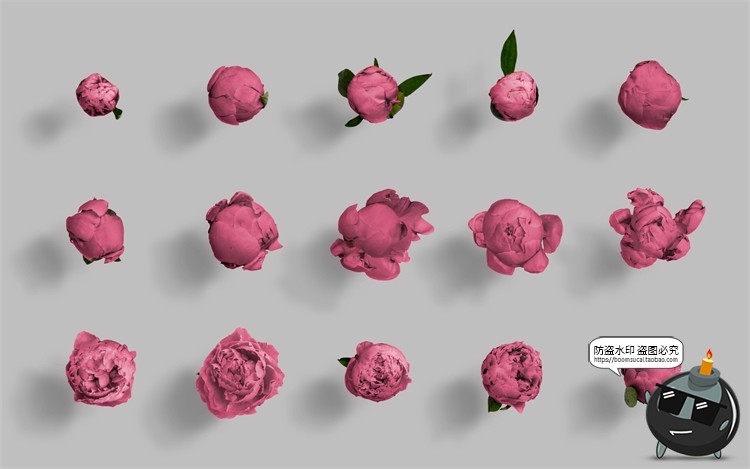 图片[11]-鲜花专题牡丹花卉芍药花艺花店植物花瓣PNG免抠源文件PSD模板素材-设计猿