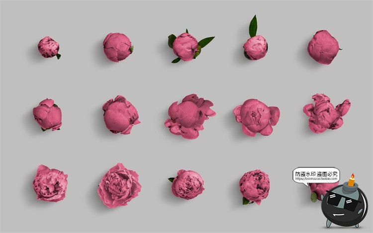 图片[12]-鲜花专题牡丹花卉芍药花艺花店植物花瓣PNG免抠源文件PSD模板素材-设计猿