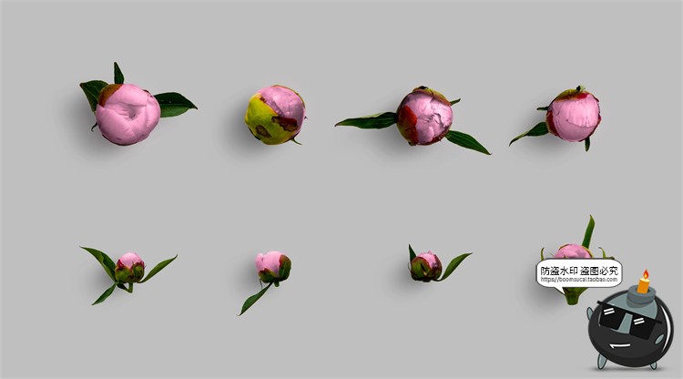 图片[13]-鲜花专题牡丹花卉芍药花艺花店植物花瓣PNG免抠源文件PSD模板素材-设计猿