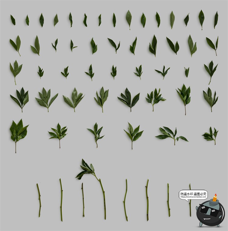 图片[14]-鲜花专题牡丹花卉芍药花艺花店植物花瓣PNG免抠源文件PSD模板素材-设计猿