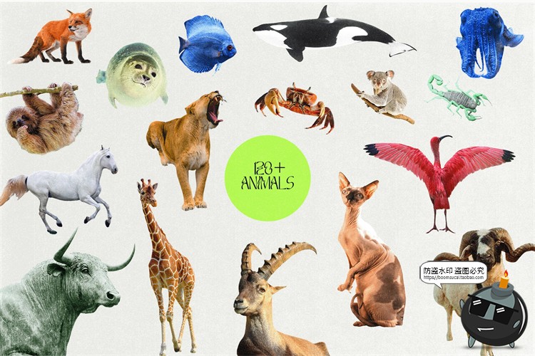 图片[6]-奇幻大自然拼贴剪贴画复古动物食物行星建筑元素PNG免抠图PS素材-设计猿