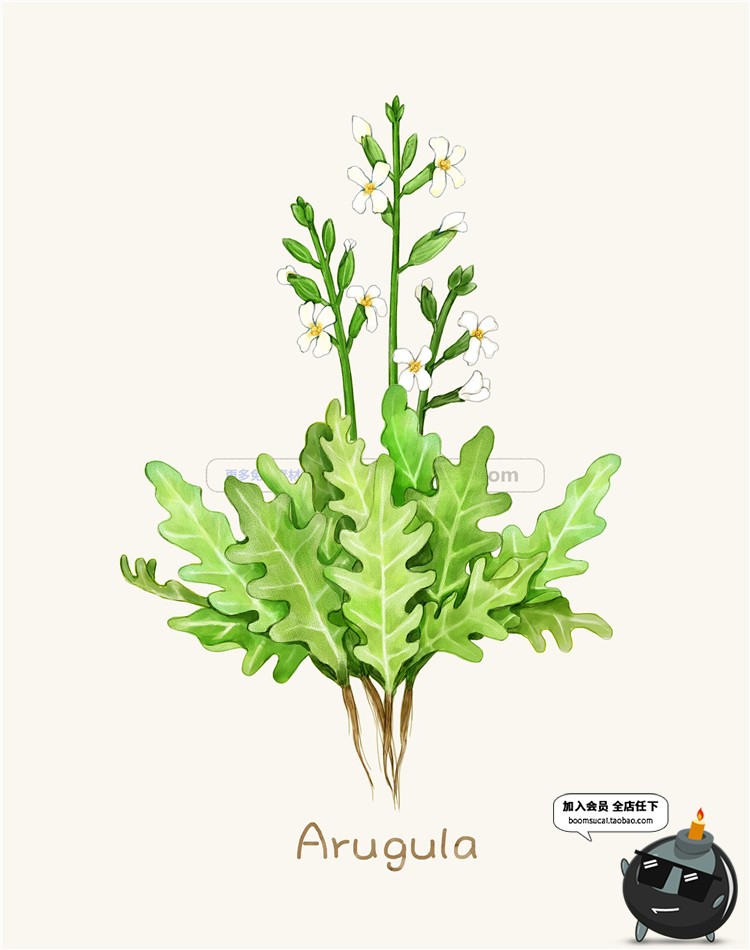 图片[6]-小清新路边一株野花野草植物薰衣草花草鲜花叶子插画图案PSD素材-设计猿