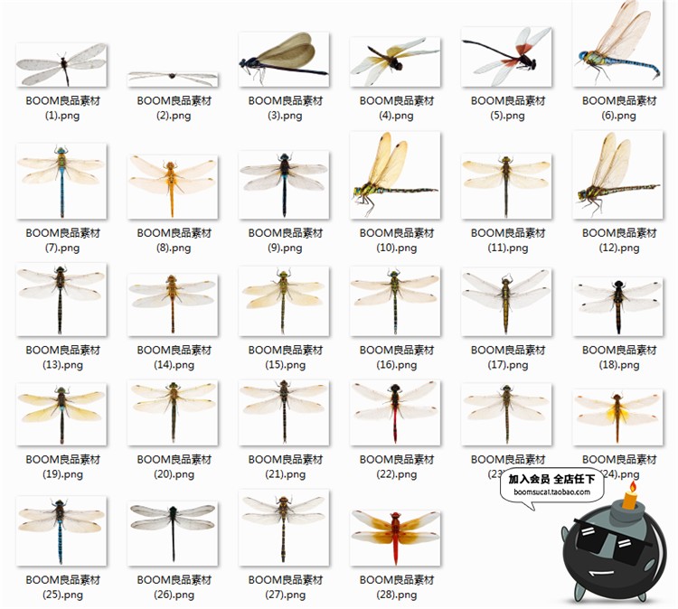 图片[1]-PS真实蜻蜓昆虫飞舞影楼摄影后期PNG免抠图透明背景叠加合成素材-设计猿