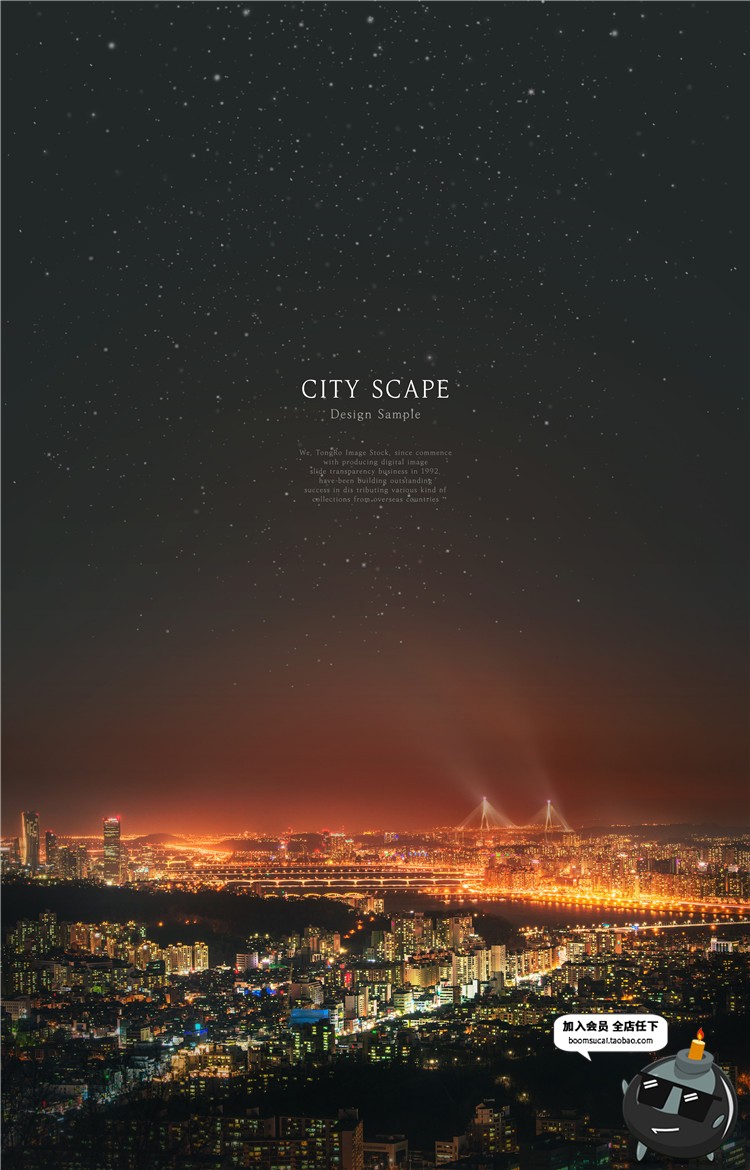 图片[9]-繁华现代发达城市天空夜景夜空地产广告海报背景PSD模板设计素材-设计猿