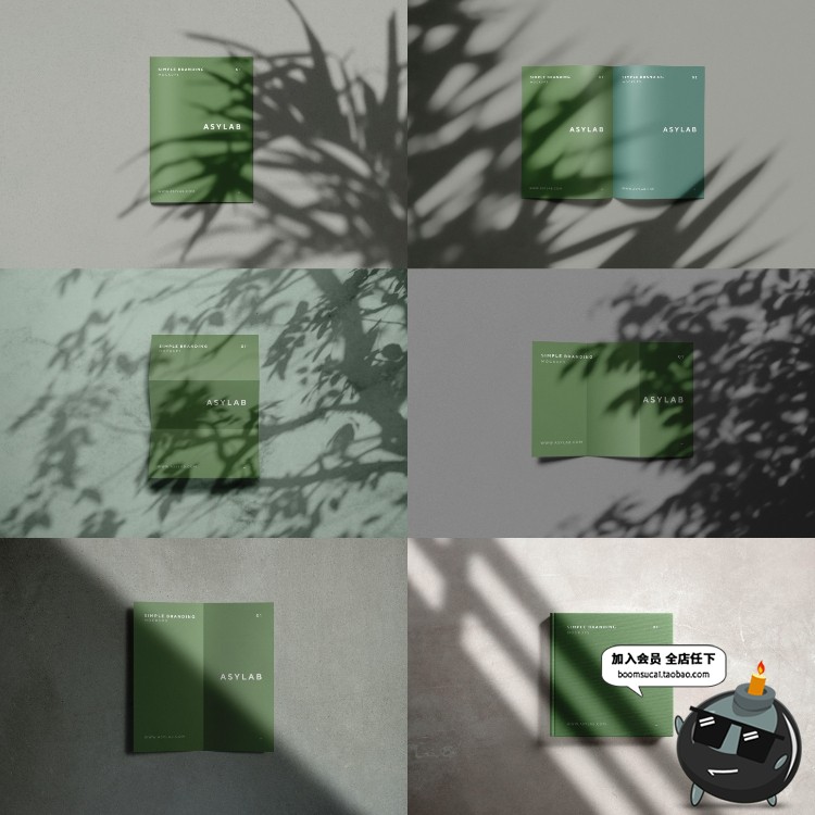 图片[3]-创意花卉植物叶子剪影阴影影子形状装饰元素PNG免抠PSD模板PS素材-设计猿