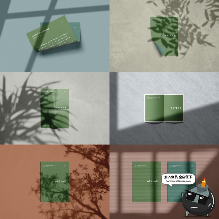 图片[6]-创意花卉植物叶子剪影阴影影子形状装饰元素PNG免抠PSD模板PS素材-设计猿