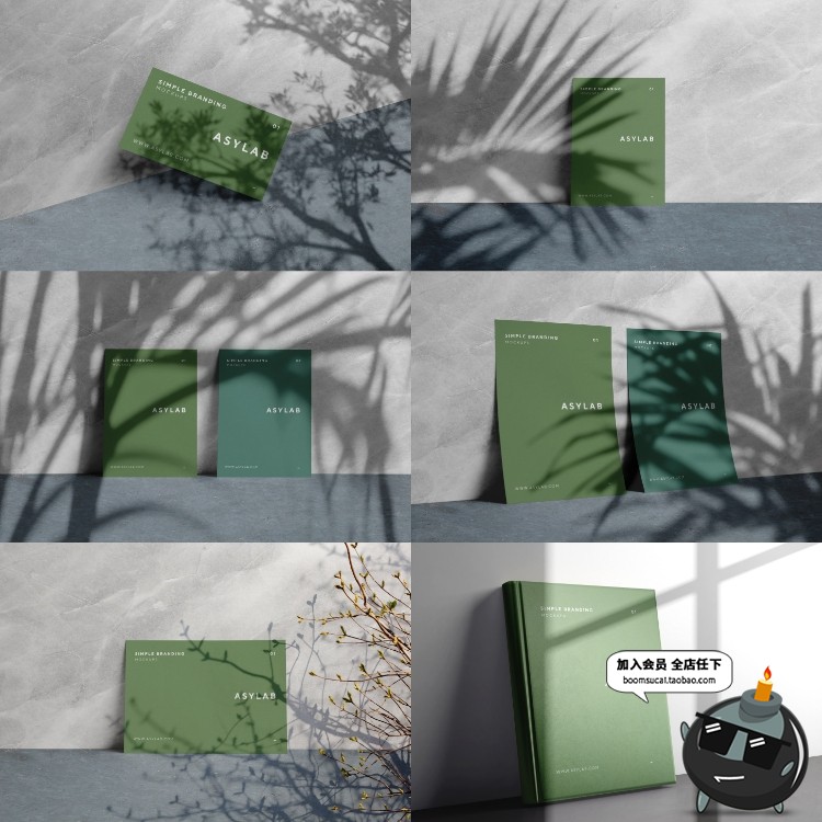 图片[9]-创意花卉植物叶子剪影阴影影子形状装饰元素PNG免抠PSD模板PS素材-设计猿