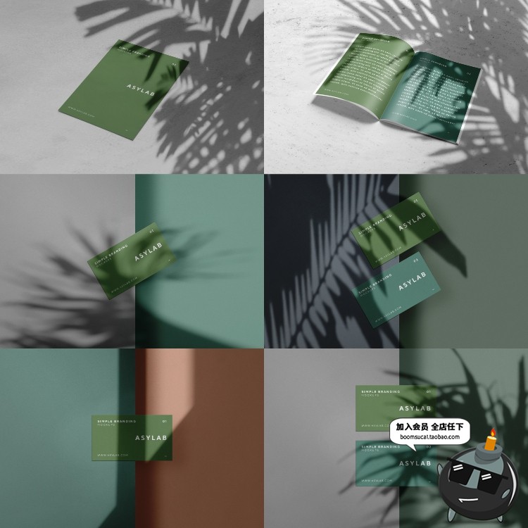 图片[10]-创意花卉植物叶子剪影阴影影子形状装饰元素PNG免抠PSD模板PS素材-设计猿