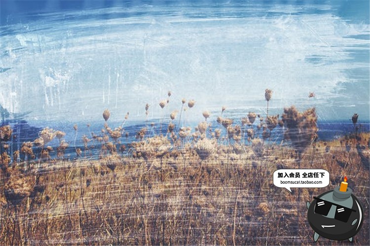 图片[4]-50款照片复古做旧处理划痕纹理磨损掉色纹理后期合成JPG叠图素材-设计猿