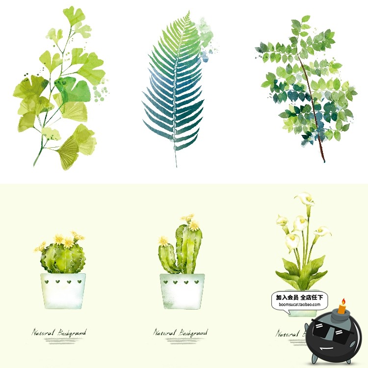 图片[2]-简约水彩手绘小清新绿色植物仙人掌插画高清装饰画芯JPG图片素材-设计猿