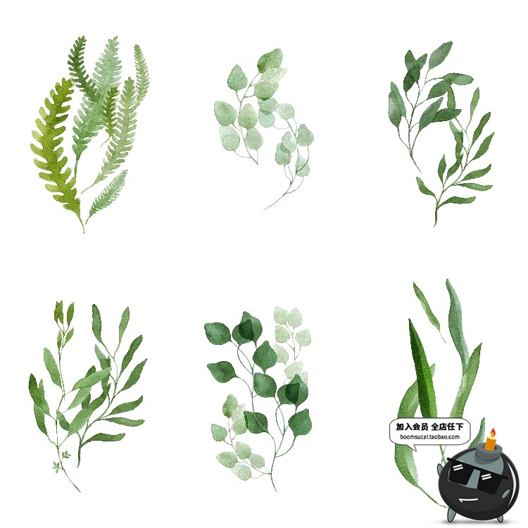 图片[4]-简约水彩手绘小清新绿色植物仙人掌插画高清装饰画芯JPG图片素材-设计猿