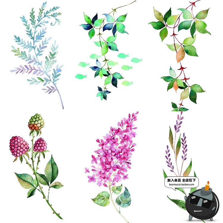 图片[10]-简约水彩手绘小清新绿色植物仙人掌插画高清装饰画芯JPG图片素材-设计猿