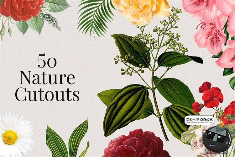 图片[11]-475款潮流怀旧现实主义自然旅行植物复古拼贴剪切画PNG免抠图素材-设计猿