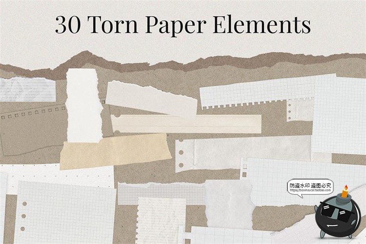 图片[16]-475款潮流怀旧现实主义自然旅行植物复古拼贴剪切画PNG免抠图素材-设计猿