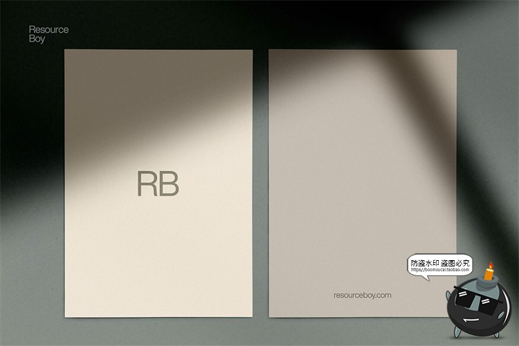 图片[4]-文艺阳光植物窗格阴影投影叠加背景底纹PNG免抠图片后期合成素材-设计猿