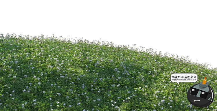 图片[9]-写实高清草坪草地草丛花境后期修图合成背景PSD模板PNG免抠素材-设计猿