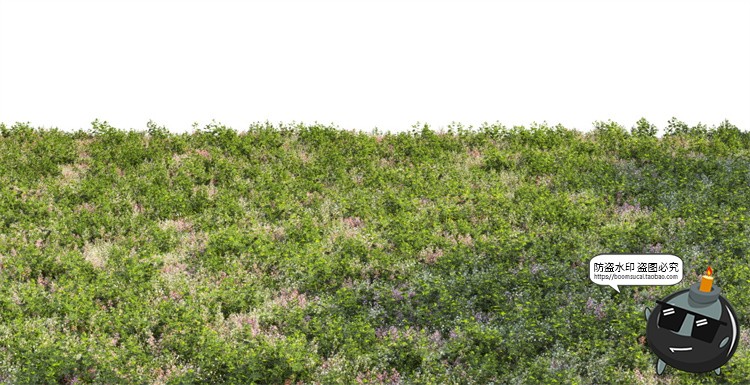 图片[21]-写实高清草坪草地草丛花境后期修图合成背景PSD模板PNG免抠素材-设计猿