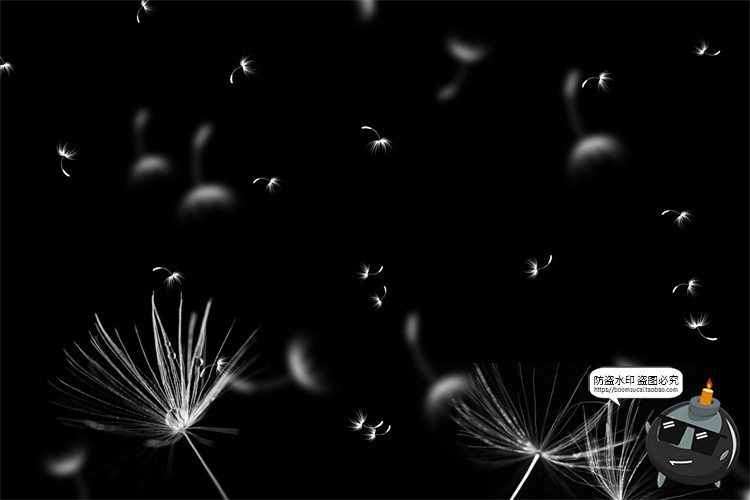 图片[6]-蒲公英飞絮飘动儿童梦幻外景摄影后期修图JPG黑底滤色叠加PS素材-设计猿