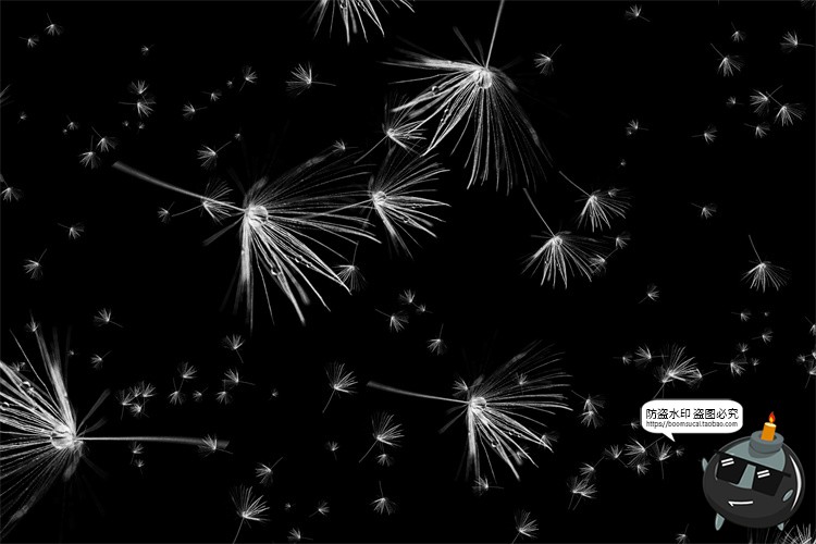 图片[20]-蒲公英飞絮飘动儿童梦幻外景摄影后期修图JPG黑底滤色叠加PS素材-设计猿