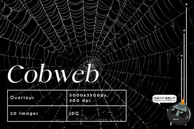 图片[1]-万圣节恐怖蜘蛛网蜘蛛丝纹理背景黑底图叠加后期合成JPG图片素材-设计猿