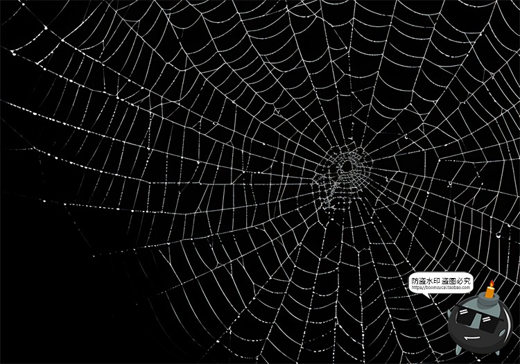 图片[2]-万圣节恐怖蜘蛛网蜘蛛丝纹理背景黑底图叠加后期合成JPG图片素材-设计猿