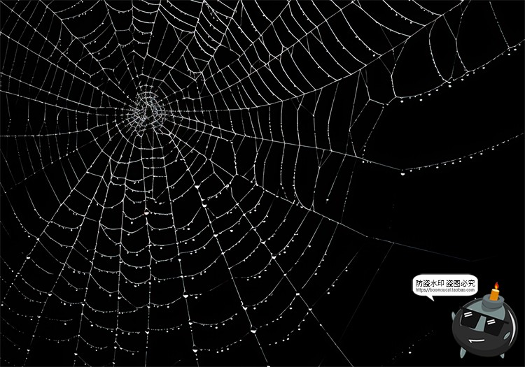 图片[3]-万圣节恐怖蜘蛛网蜘蛛丝纹理背景黑底图叠加后期合成JPG图片素材-设计猿