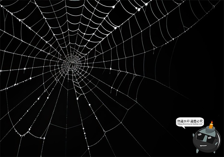 图片[4]-万圣节恐怖蜘蛛网蜘蛛丝纹理背景黑底图叠加后期合成JPG图片素材-设计猿