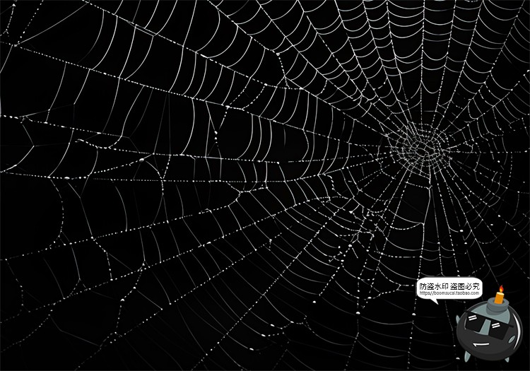 图片[5]-万圣节恐怖蜘蛛网蜘蛛丝纹理背景黑底图叠加后期合成JPG图片素材-设计猿