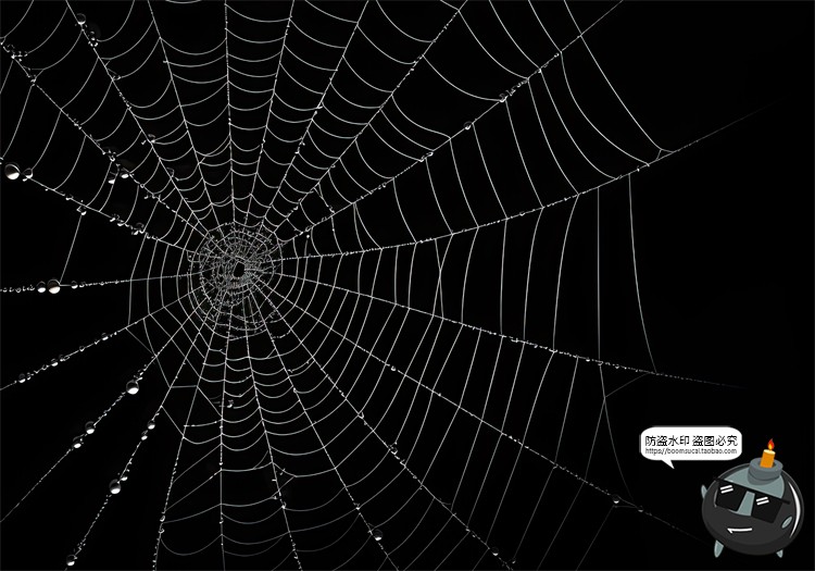 图片[6]-万圣节恐怖蜘蛛网蜘蛛丝纹理背景黑底图叠加后期合成JPG图片素材-设计猿