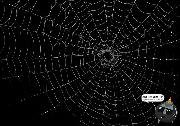 图片[7]-万圣节恐怖蜘蛛网蜘蛛丝纹理背景黑底图叠加后期合成JPG图片素材-设计猿