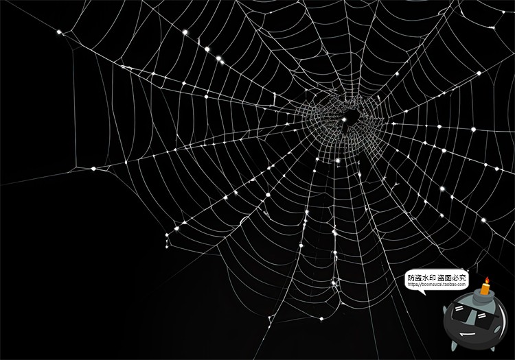 图片[8]-万圣节恐怖蜘蛛网蜘蛛丝纹理背景黑底图叠加后期合成JPG图片素材-设计猿