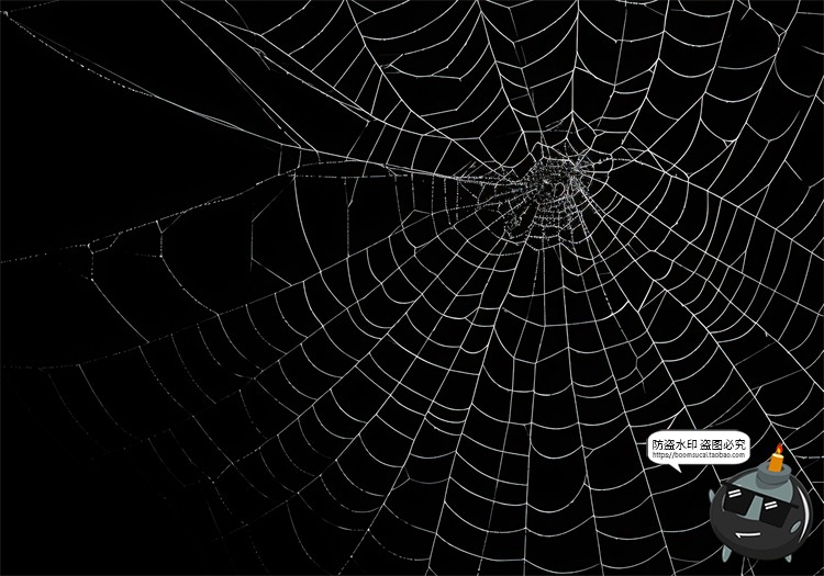 图片[10]-万圣节恐怖蜘蛛网蜘蛛丝纹理背景黑底图叠加后期合成JPG图片素材-设计猿