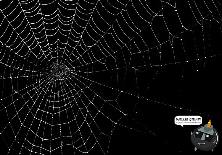 图片[11]-万圣节恐怖蜘蛛网蜘蛛丝纹理背景黑底图叠加后期合成JPG图片素材-设计猿