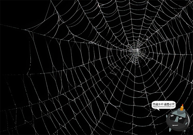 图片[12]-万圣节恐怖蜘蛛网蜘蛛丝纹理背景黑底图叠加后期合成JPG图片素材-设计猿