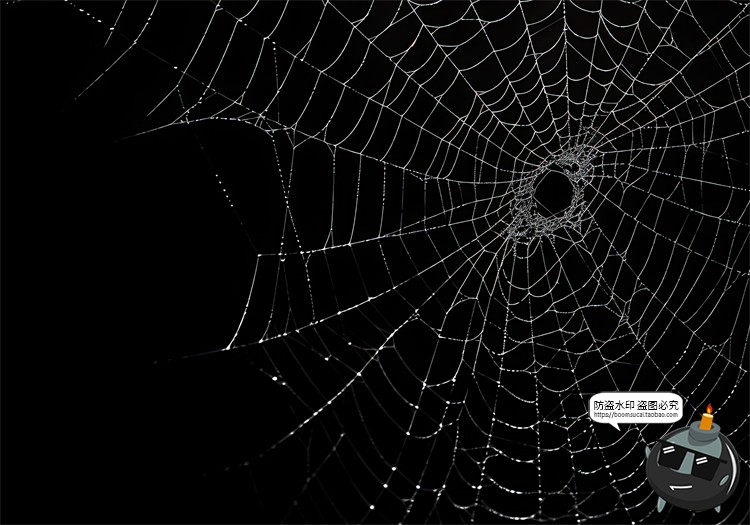 图片[13]-万圣节恐怖蜘蛛网蜘蛛丝纹理背景黑底图叠加后期合成JPG图片素材-设计猿