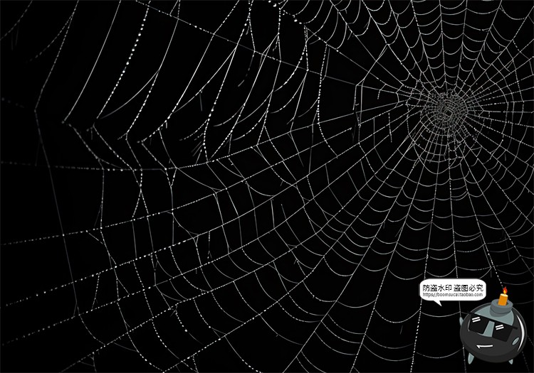 图片[14]-万圣节恐怖蜘蛛网蜘蛛丝纹理背景黑底图叠加后期合成JPG图片素材-设计猿