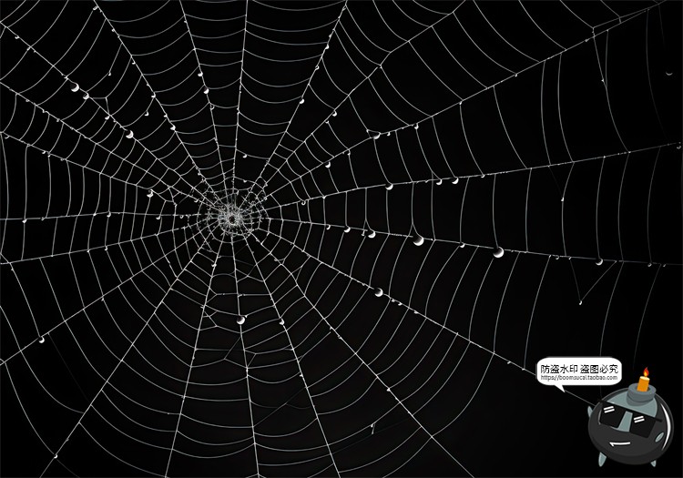 图片[15]-万圣节恐怖蜘蛛网蜘蛛丝纹理背景黑底图叠加后期合成JPG图片素材-设计猿