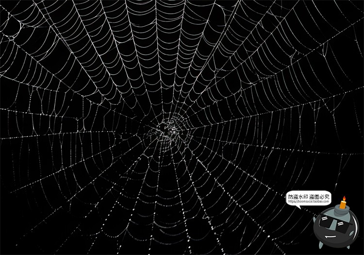 图片[16]-万圣节恐怖蜘蛛网蜘蛛丝纹理背景黑底图叠加后期合成JPG图片素材-设计猿