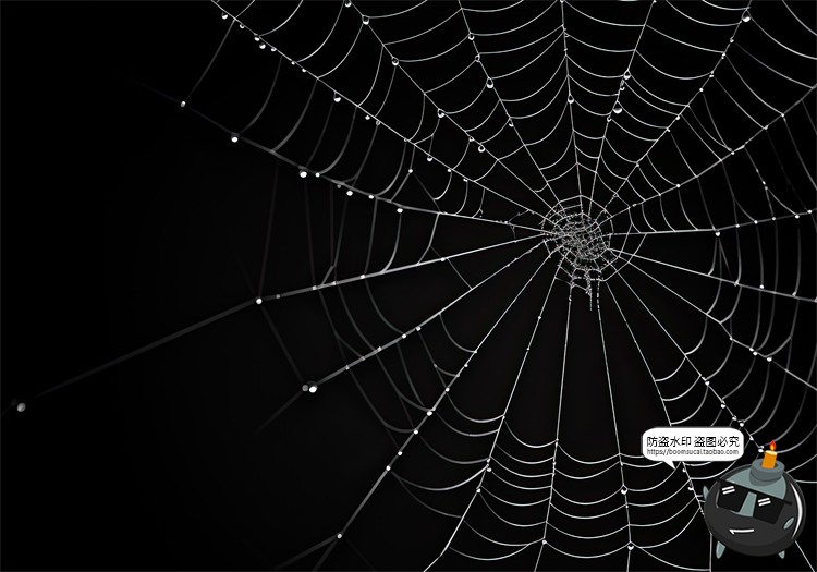 图片[17]-万圣节恐怖蜘蛛网蜘蛛丝纹理背景黑底图叠加后期合成JPG图片素材-设计猿
