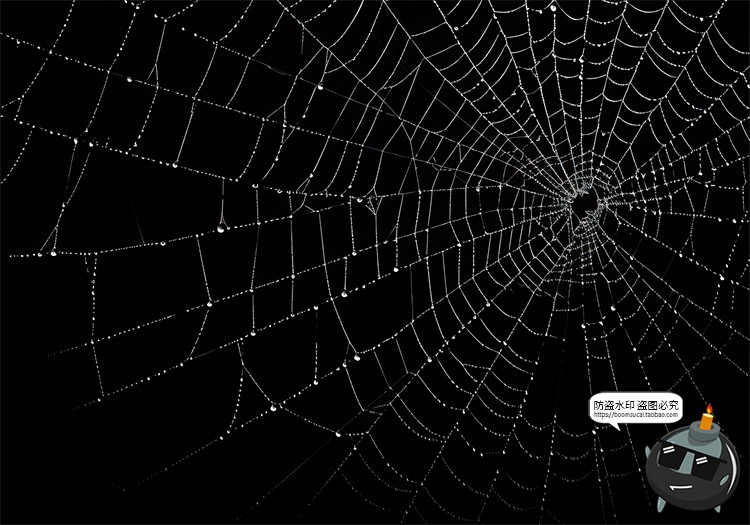 图片[18]-万圣节恐怖蜘蛛网蜘蛛丝纹理背景黑底图叠加后期合成JPG图片素材-设计猿