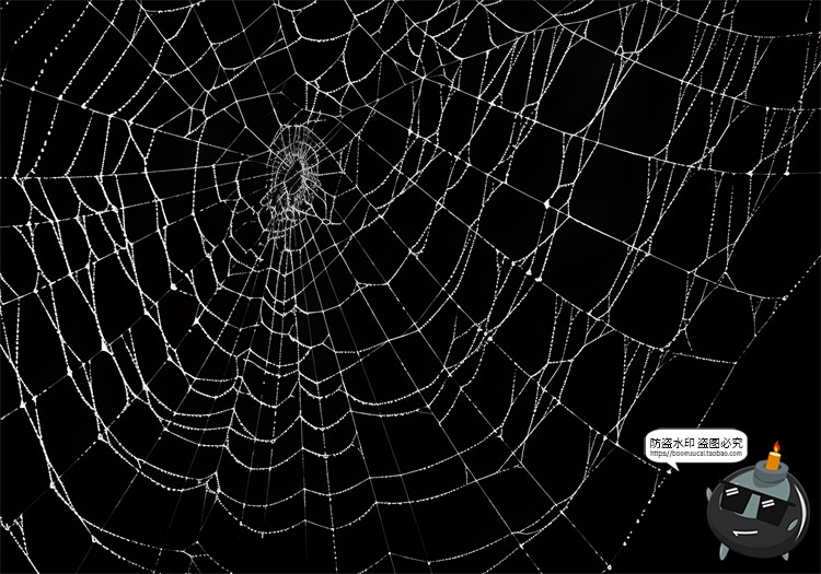 图片[19]-万圣节恐怖蜘蛛网蜘蛛丝纹理背景黑底图叠加后期合成JPG图片素材-设计猿