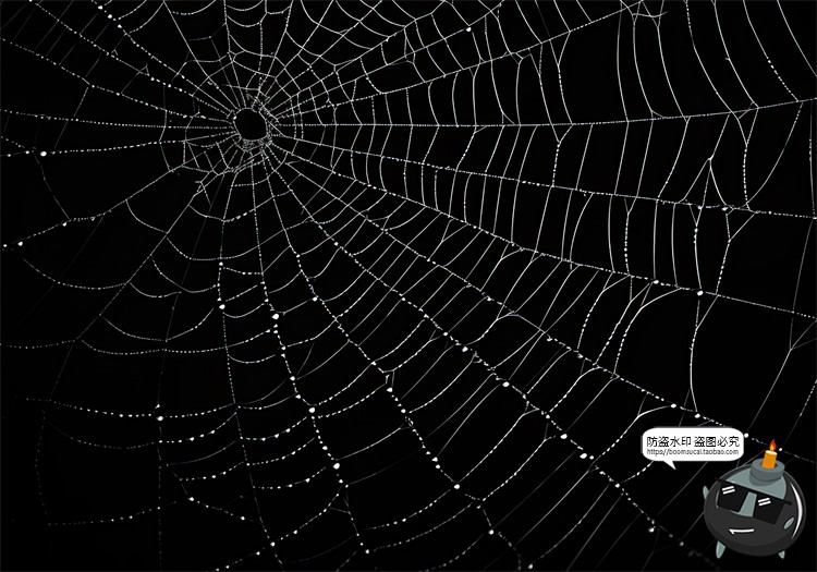 图片[20]-万圣节恐怖蜘蛛网蜘蛛丝纹理背景黑底图叠加后期合成JPG图片素材-设计猿