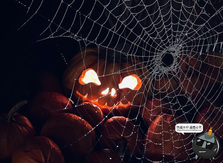 图片[21]-万圣节恐怖蜘蛛网蜘蛛丝纹理背景黑底图叠加后期合成JPG图片素材-设计猿