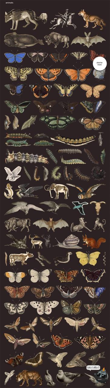 图片[3]-美式复古怀旧人物植物风景古董撕纸艺术拼贴剪贴画PNG免抠图素材-设计猿