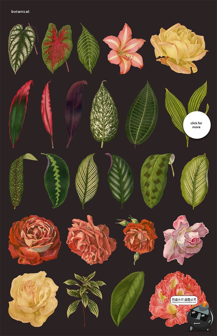 图片[4]-美式复古怀旧人物植物风景古董撕纸艺术拼贴剪贴画PNG免抠图素材-设计猿