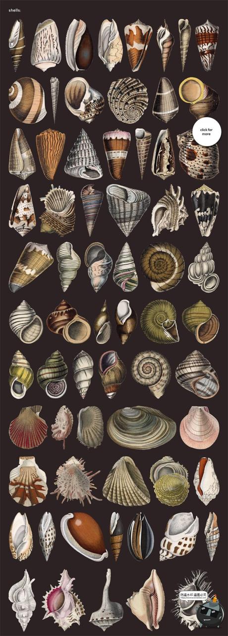 图片[8]-美式复古怀旧人物植物风景古董撕纸艺术拼贴剪贴画PNG免抠图素材-设计猿