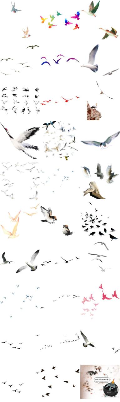 图片[1]-鸟群剪影鸟类飞鸟仙鹤透明背景图案ps后期美化免扣PNG免抠素材-设计猿